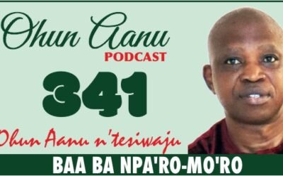 Ohun Aanu Episode 341